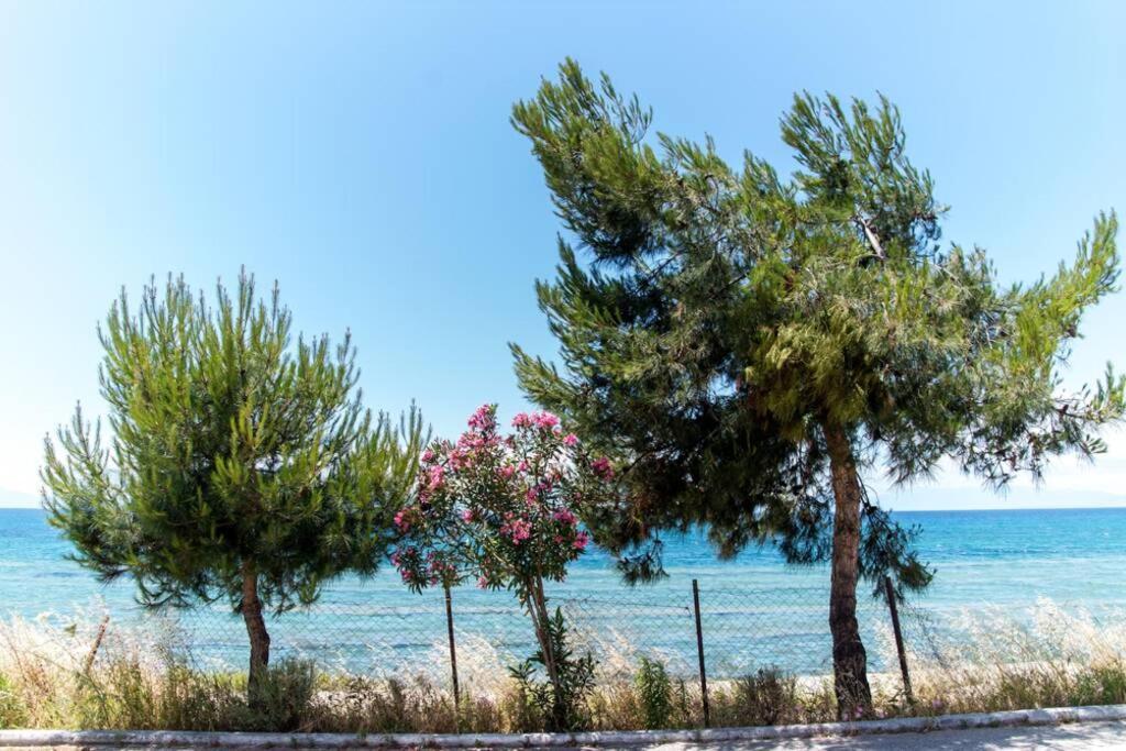 Seafront 2 Bedrooms Apartment Nea Irakleia Exterior photo