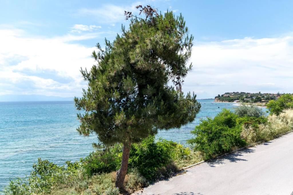 Seafront 2 Bedrooms Apartment Nea Irakleia Exterior photo