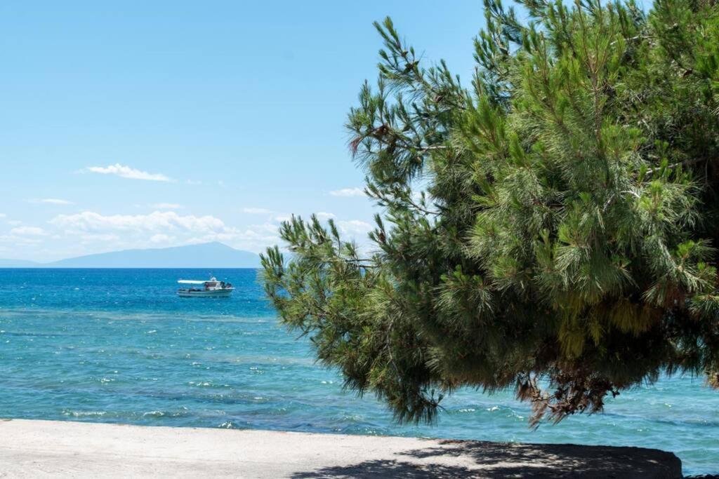 Seafront 2 Bedrooms Apartment Nea Irakleia Exterior photo